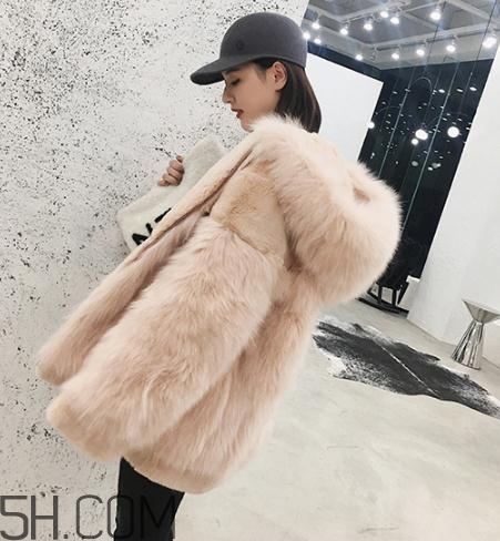 獭兔毛和兔毛的区别图片,獭兔毛图片