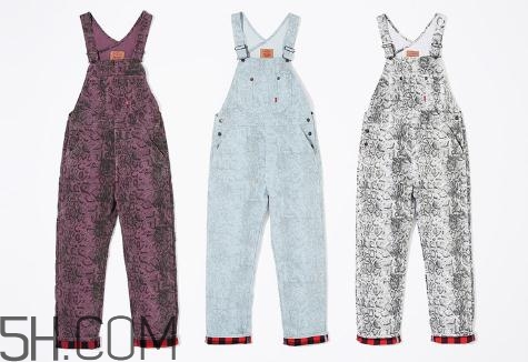 supreme品牌介绍,supreme品牌介绍PPT