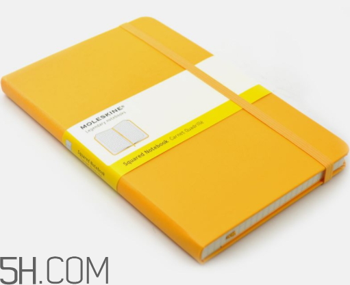 moleskine是什么牌子,moleskine哪国牌子