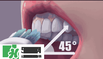 巴氏刷牙的正确方法,bass刷牙法的操作方法