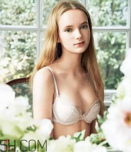 华歌尔和黛安芬哪个好,安莉芳和华歌尔哪个好