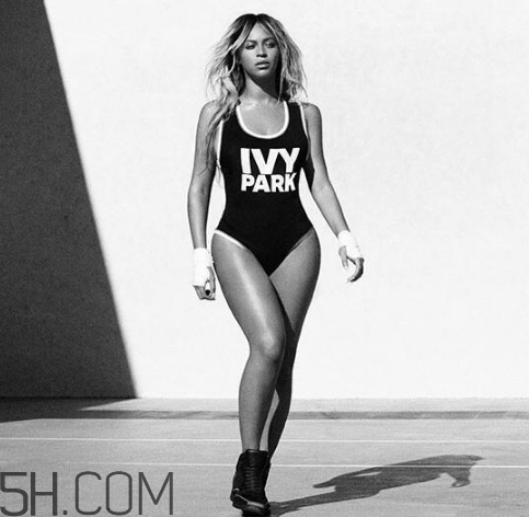 ivy park是什么牌子,ivyhouse衣服那么贵