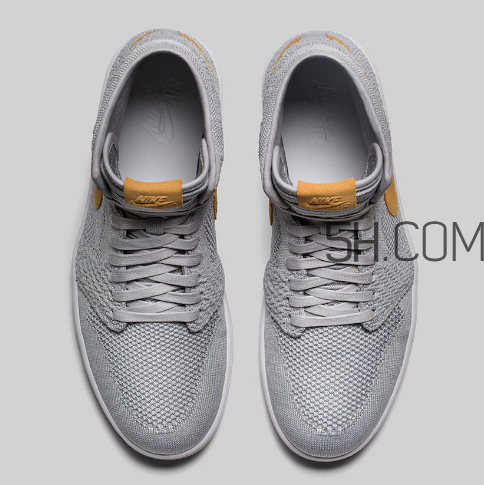 aj品牌介绍,aj品牌介绍英语ppt