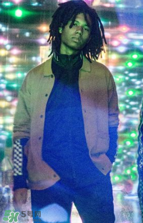 vans品牌介绍ppt,vans品牌介绍