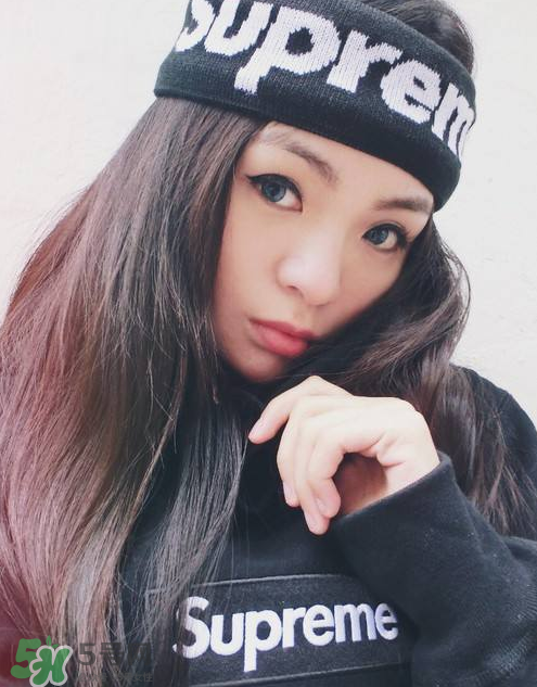 supreme品牌介绍,supreme品牌介绍PPT