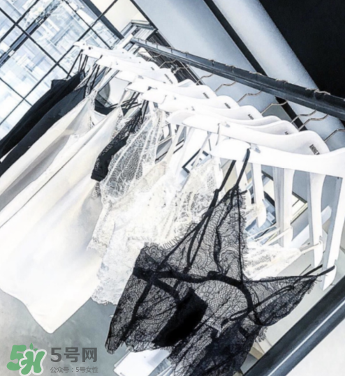 anine bing是什么牌子 什么档次,anine bing是什么牌子