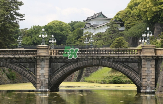 日本十二月份的天气,日本冬天气温最低温度