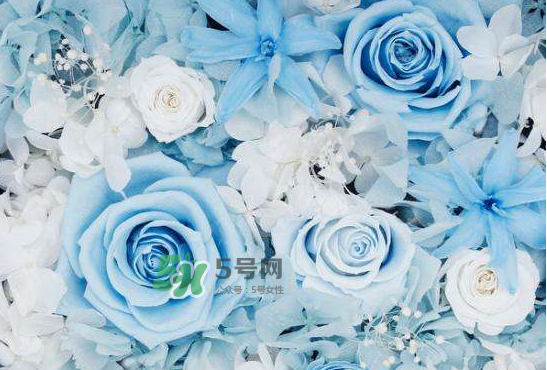 野兽派永生花可以保持多久,野兽派的永生花