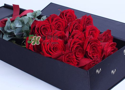 thebeast怎么样,the beast是什么意思