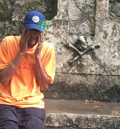 palace品牌介绍,palace是什么品牌