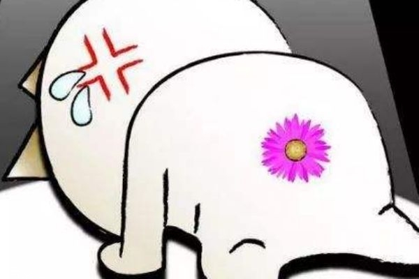 痔疮术后护理(痔疮术后护理措施及要点)