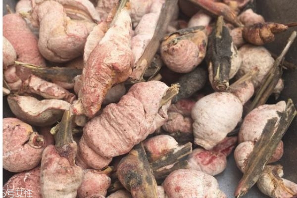 竹黄生长在什么环境里呢(竹黄生长在竹子的什么位置)