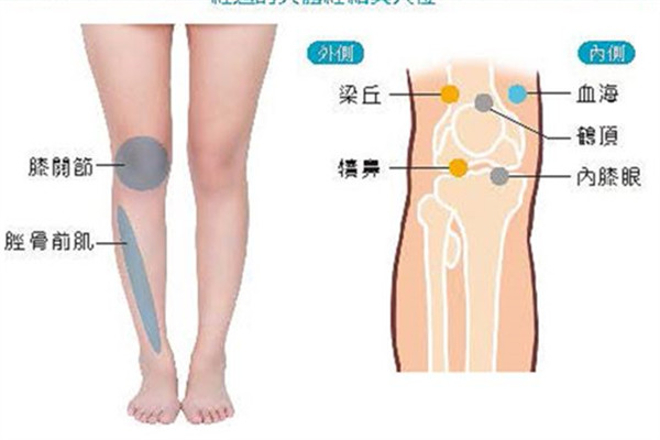 足太阳脾经(足太阴脾经循行图)