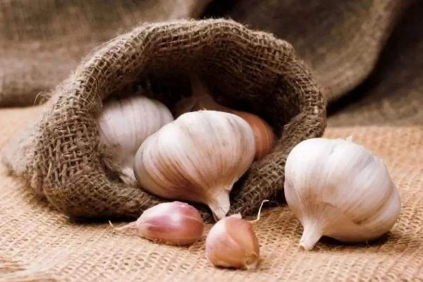 吃大蒜有哪些功效(吃大蒜有哪些功效) 吃大蒜有哪些功效(吃大蒜有哪些功效)