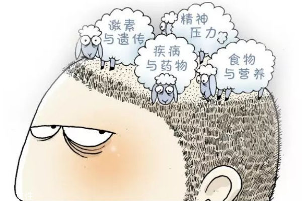 有什么办法可以改善掉发(有什么办法可以改善掉发)