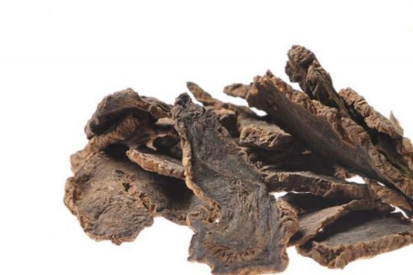 玄参只要分布在哪里呢(玄参主产于哪里) 玄参只要分布在哪里呢(玄参主产于哪里)