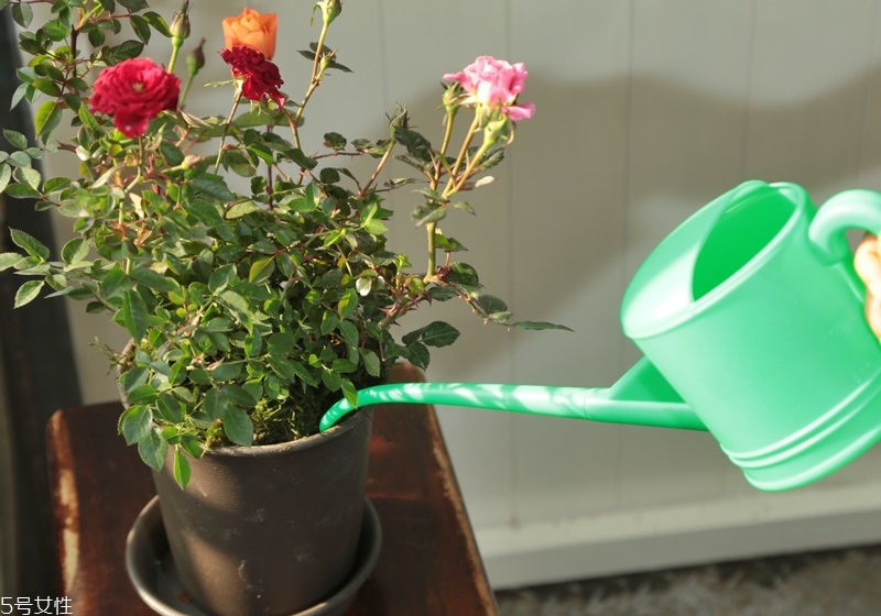 日常照顾跟着做(一直照顾我)