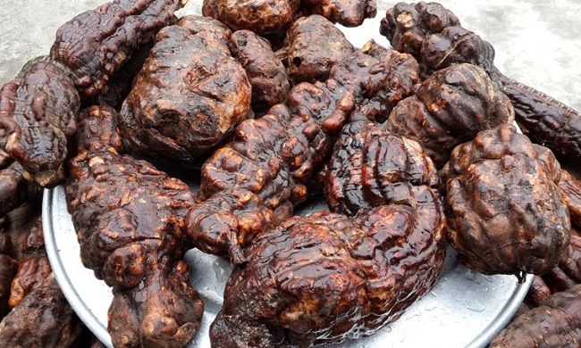 不能治愈的白头发疾病(白头发能治愈吗) 不能治愈的白头发疾病(白头发能治愈吗)