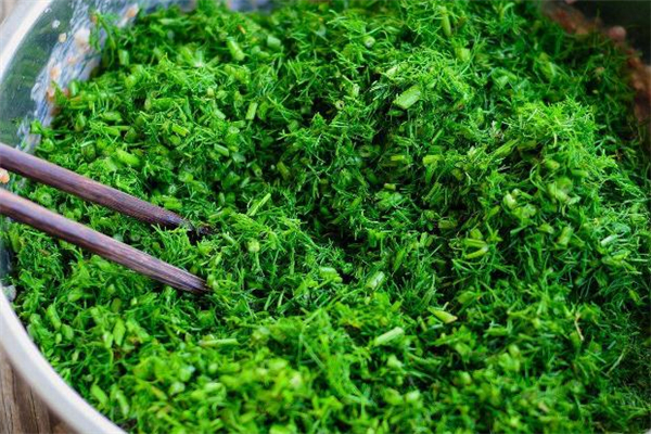 茴香怎么洗最干净(茴香怎么洗才干净)