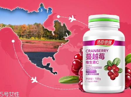 蔓越莓和月见草哪个好(蔓越莓和月见草哪个好)