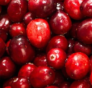 蔓越莓胶囊可以嚼着吃吗(蔓越莓胶囊可以嚼着吃吗) 蔓越莓胶囊可以嚼着吃吗(蔓越莓胶囊可以嚼着吃吗)