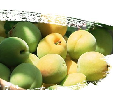 没胃口怎么办(没胃口怎么办吃什么) 没胃口怎么办(没胃口怎么办吃什么)