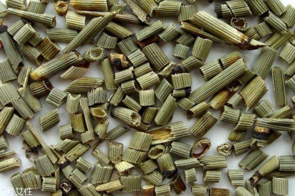 木贼的生长环境是怎么样的呢(木贼生长温度)