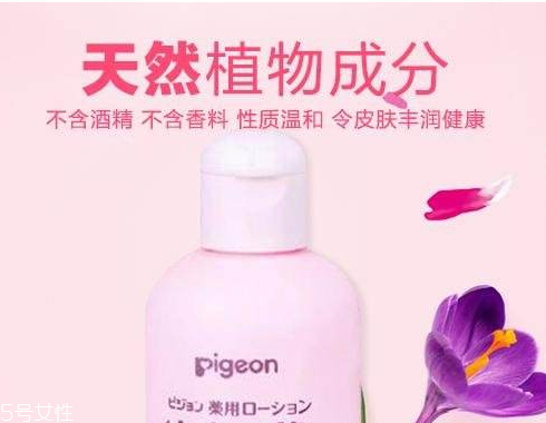 霜桑叶可治痱子(霜桑叶治什么)