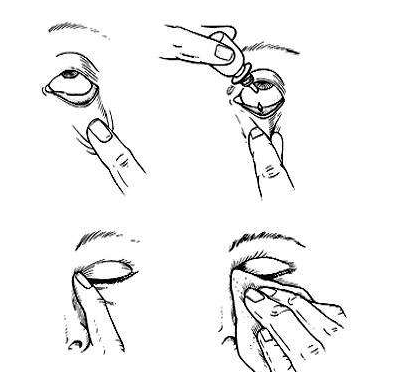 吃什么蔬菜对眼睛好(吃什么蔬菜对眼睛好可以恢复视力)