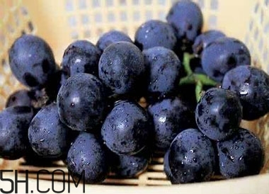 吃黑加仑的禁忌,吃黑加仑的好处