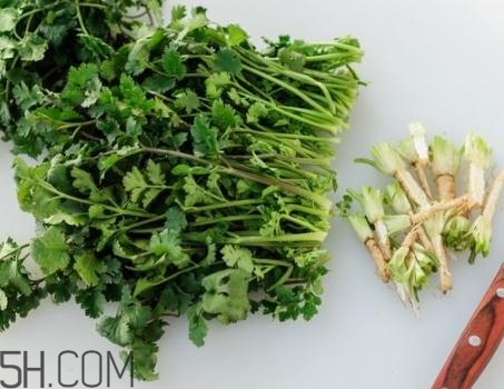 香菜根煮水能治咳嗽吗?,香菜根煮水可以治疗咳嗽吗?