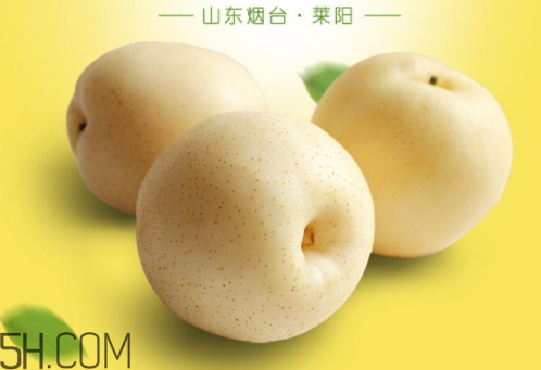 皇冠梨能放多久,皇冠梨常温可以放多久