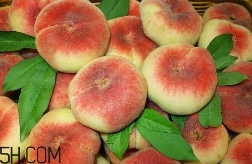 蟠桃的功效和作用禁忌,吃蟠桃的好处 蟠桃的功效和作用禁忌,吃蟠桃的好处