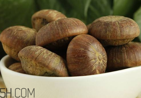 风流果的生长环境,风流果生长在哪些地区 风流果的生长环境,风流果生长在哪些地区