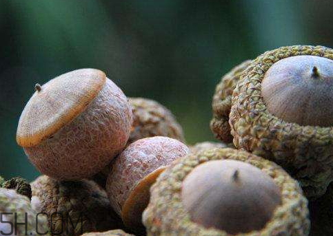 壮阳果用过多久起效,壮阳果有保质期吗