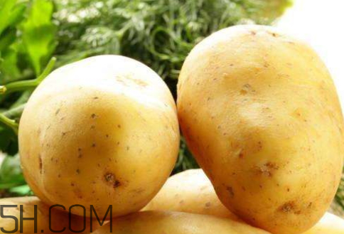 今年土豆价格行情,今年土豆价格最新价格走势