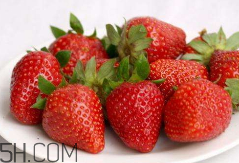 今年草莓价格行情,今年草莓价格