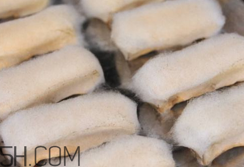 霉豆腐为什么长白毛,霉豆腐上的白毛是什么