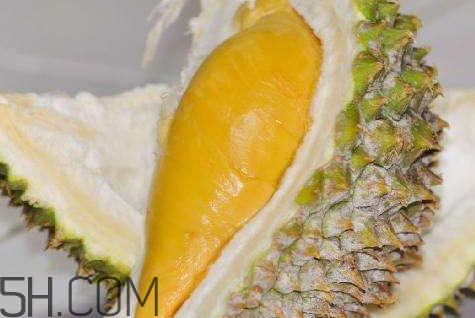 榴莲的热量高吗吃了容易长胖不,吃榴莲会发胖吗的好处是什么