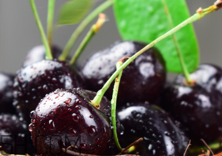 如何挑选新鲜的车厘子,车厘子选购技巧 如何挑选新鲜的车厘子,车厘子选购技巧