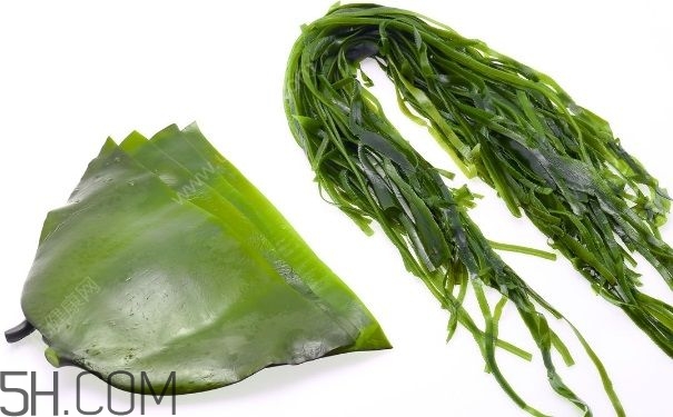 怎样挑选优质的海带?,怎样选择优质海带