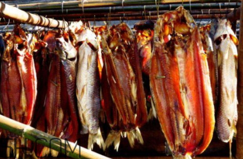 腊鱼可以用电风扇吹干吗,腊肠用电风扇吹可以吗