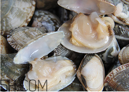 养花甲盐水浓度比例多少合适?,花甲的盐水比例 养花甲盐水浓度比例多少合适?,花甲的盐水比例