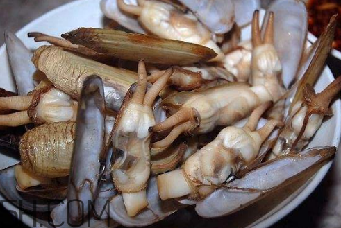 蛏子为什么一撒盐就出来,蛏子为啥撒盐就出来