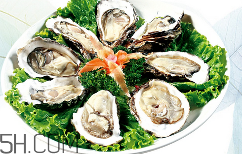 生蚝的作用和功效,生蚝的功效壮阳是真的吗