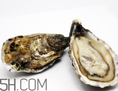 生蚝糖尿病人能吃吗,糖尿病人吃生蚝有什么好处和坏处