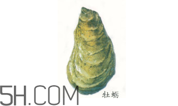 生蚝和牡蛎的区别图片,生蚝和牡蛎的区别具体是什么