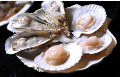 生蚝扇贝怎么吃,生蚝扇贝吃多了有什么副作用