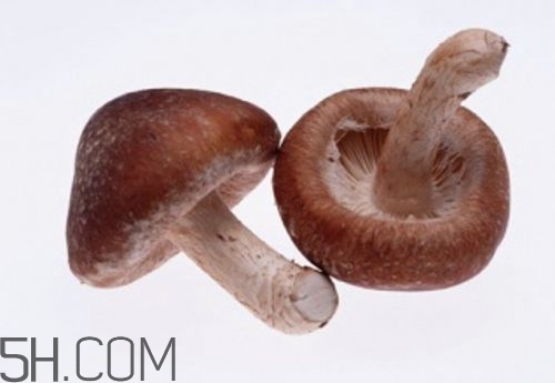 冬天护肤品推荐,冬季润肤吃6种食物