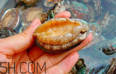 吃鲍鱼注意事项,吃鲍鱼注意什么